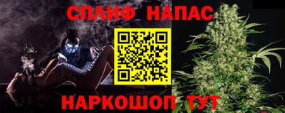 бошки Можга