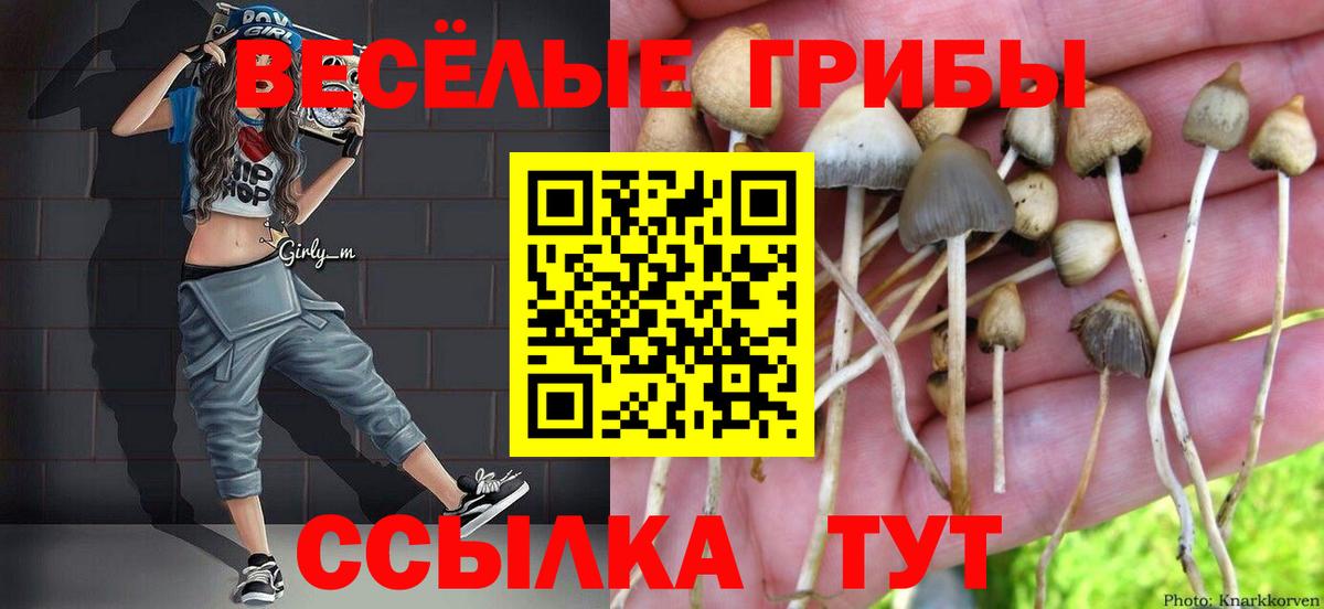 Галлюциногенные грибы мухоморы  Вход с VPN  Псилоцибиновые грибы Psilocybine cubensis  Первоуральск 